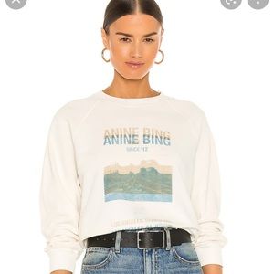 Anine bing arlo desert road sweatshirt
